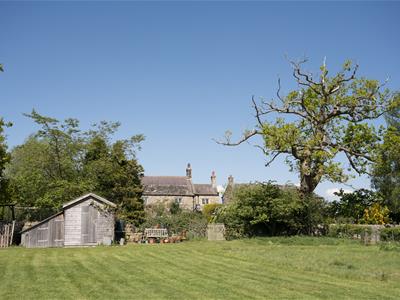 Picture 28